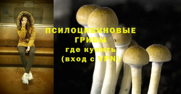 первитин Армянск