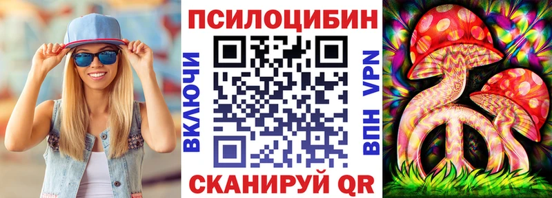 Галлюциногенные грибы Psilocybe  Новочеркасск 